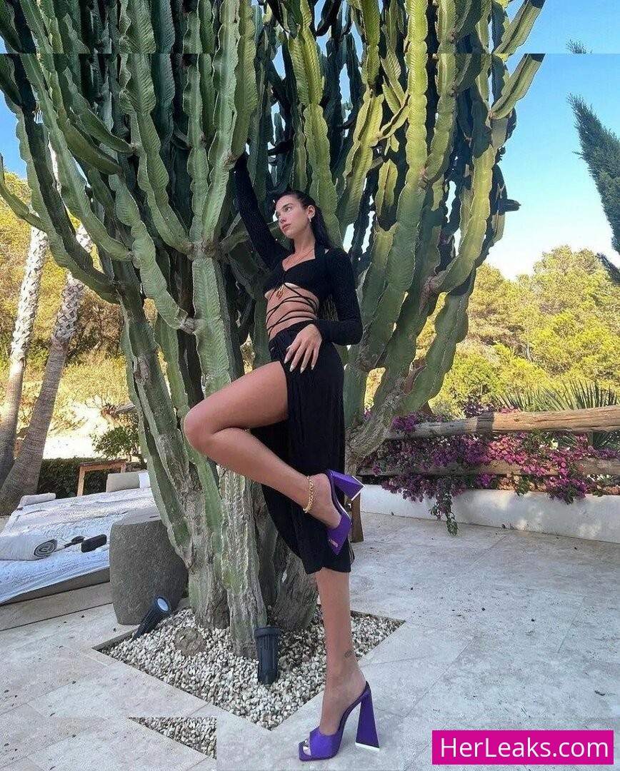 Dua Lipa - Image 289