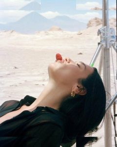 Dua Lipa - Image 522