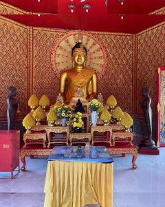 Gabriella Davies - Image 403