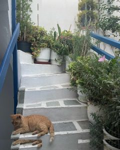 Gabriella Davies - Image 374