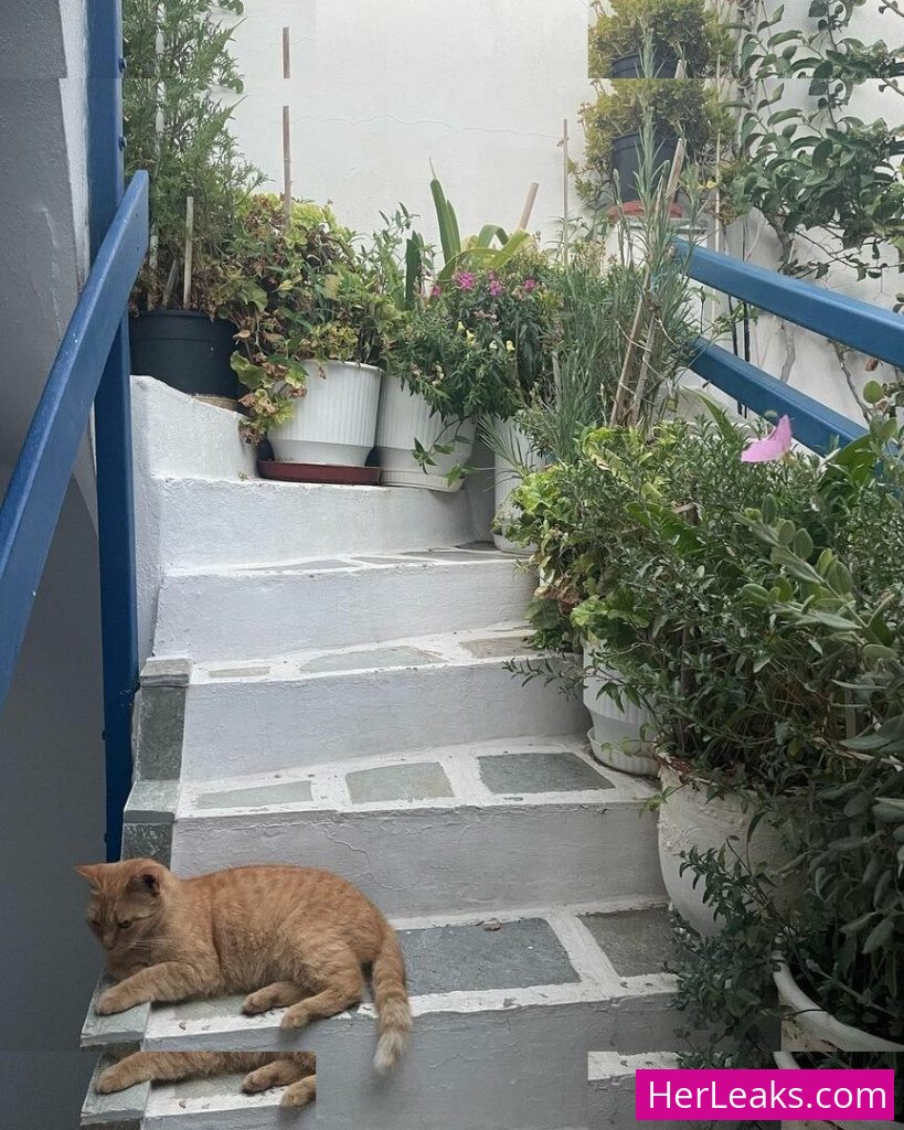 Gabriella Davies - Image 85