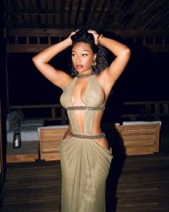 Megan Thee Stallion - Image 181