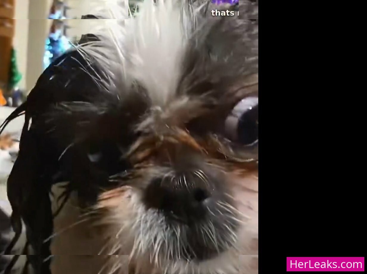 Sakura Shymko - Image 263