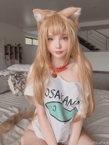 🦁 LionGuard 🦁 LeakedBB 158 1