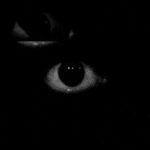 🦁 LionGuard 🦁 LeakedBB 87 1