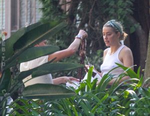 Amber Heard - Image 83