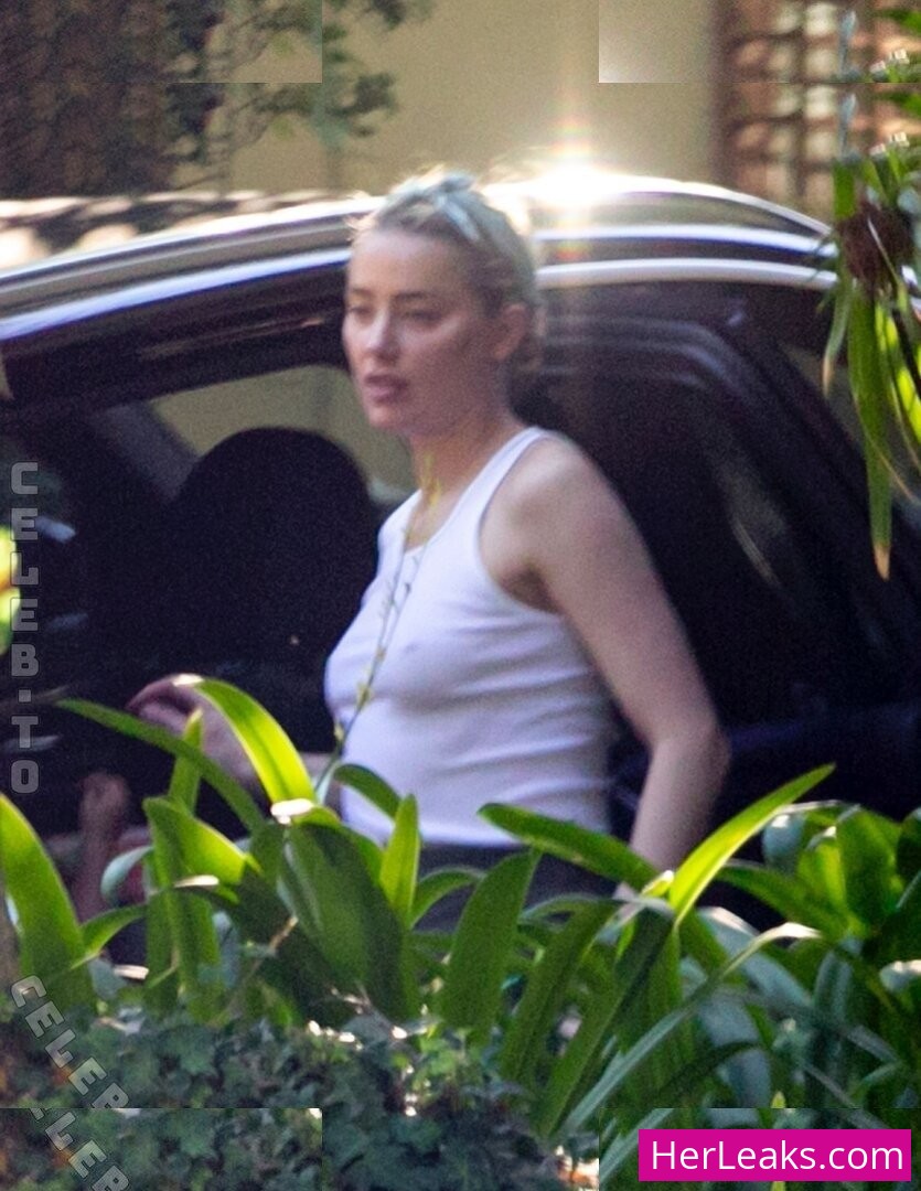 Amber Heard - Image 81