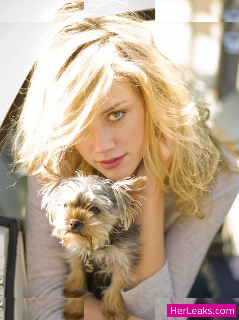 Amber Heard - Image 69