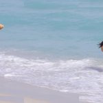 Chantel Jeffries - Image 66
