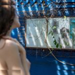 Emily Bloom - Image 112