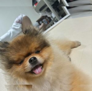 Heeheemoon - Image 182