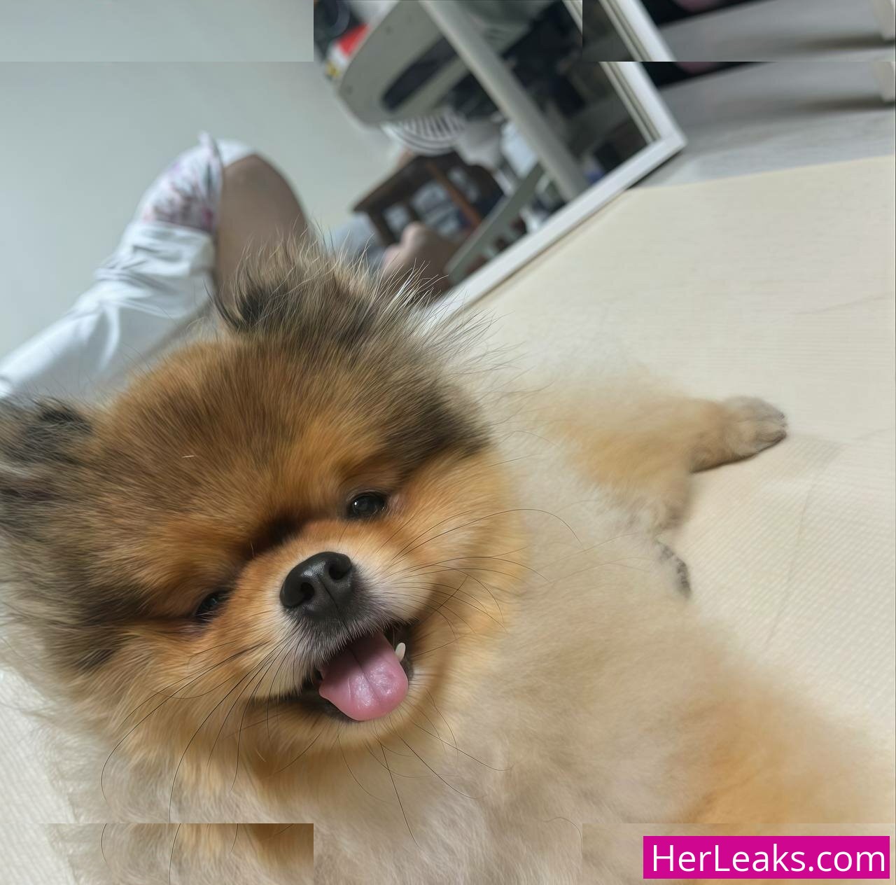Heeheemoon - Image 182
