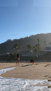 Lilychee - Image 146