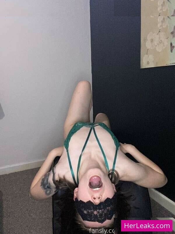 PollyRocketX - Image 7