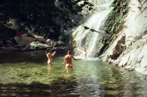 Shitsupact - Image 328
