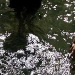 Shitsupact - Image 322
