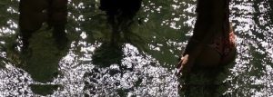 Shitsupact - Image 322