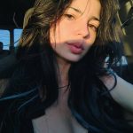 Walrus_simp - Image 150