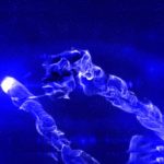 Walrus_simp - Image 101