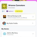 Brianne Cannataro - Image 15