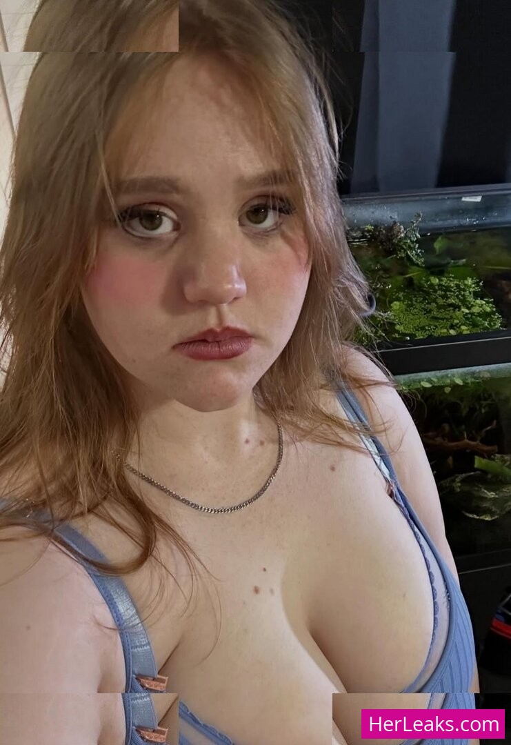 Alayne Noelle - Image 8