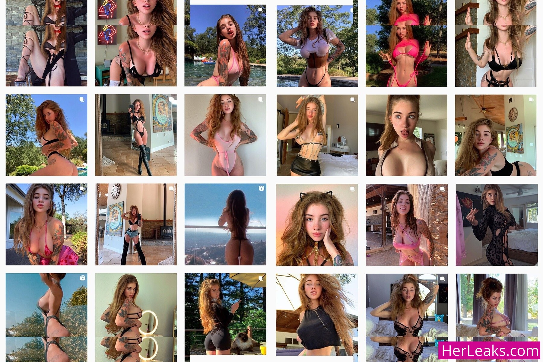 CoconutKitty - Image 2