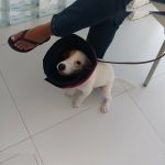 Flagras De Amigas - Image 85