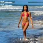 Kathycr - Image 39