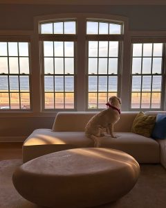 Livvy Dunne - Image 116