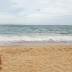 shoulderridebrazil - Image 11