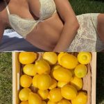 Steph Mandich - Image 6