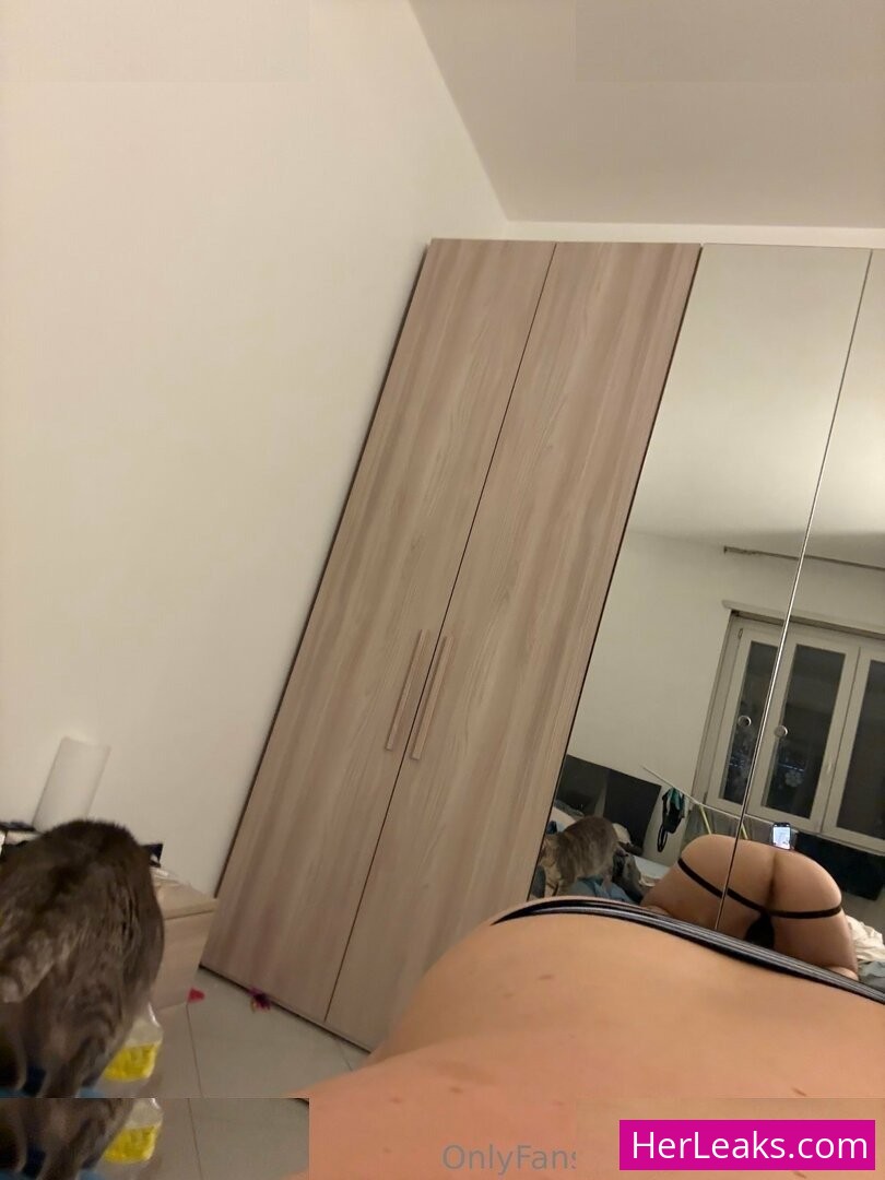 88teddynerd - Image 28