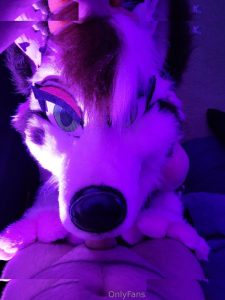 Sundaehuskie - Image 16