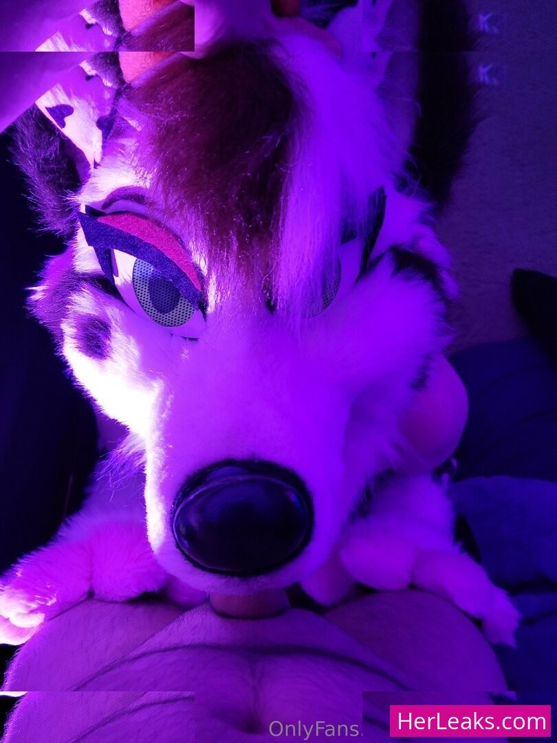Sundaehuskie - Image 16