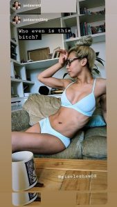 canadiandestoryer - Image 96