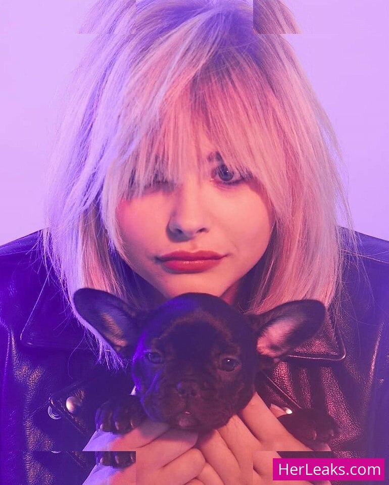 Chloë Grace Moretz - Image 174