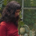Clairo - Image 175