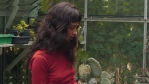 Clairo - Image 175