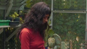 Clairo - Image 174