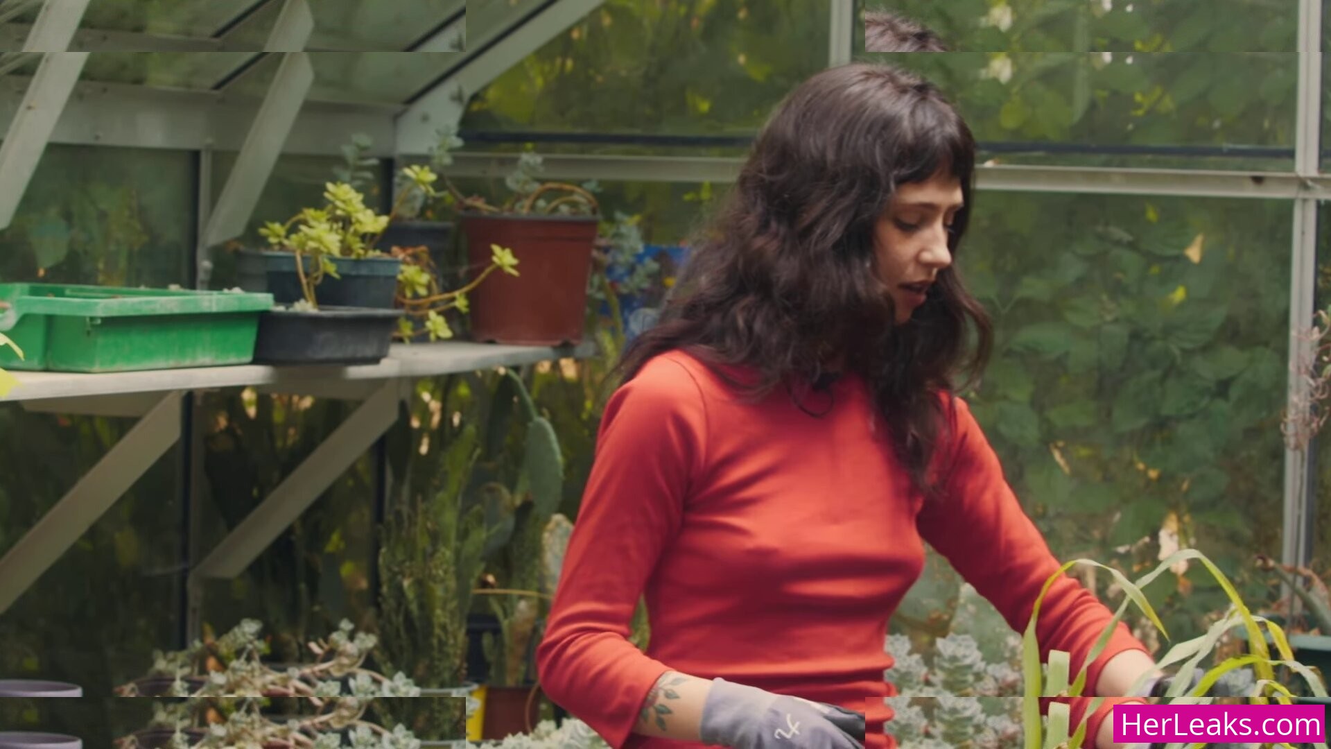 Clairo - Image 168