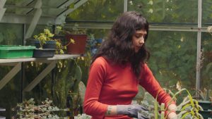 Clairo - Image 167