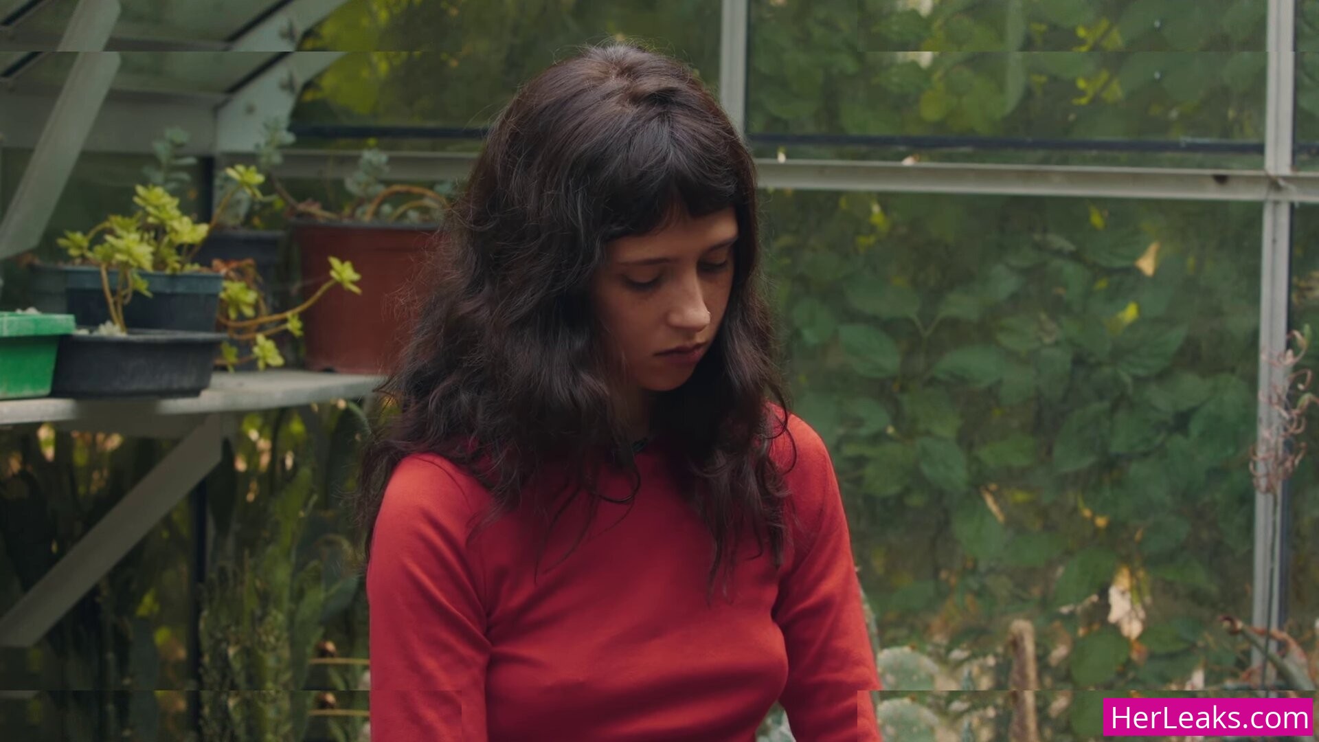 Clairo - Image 160