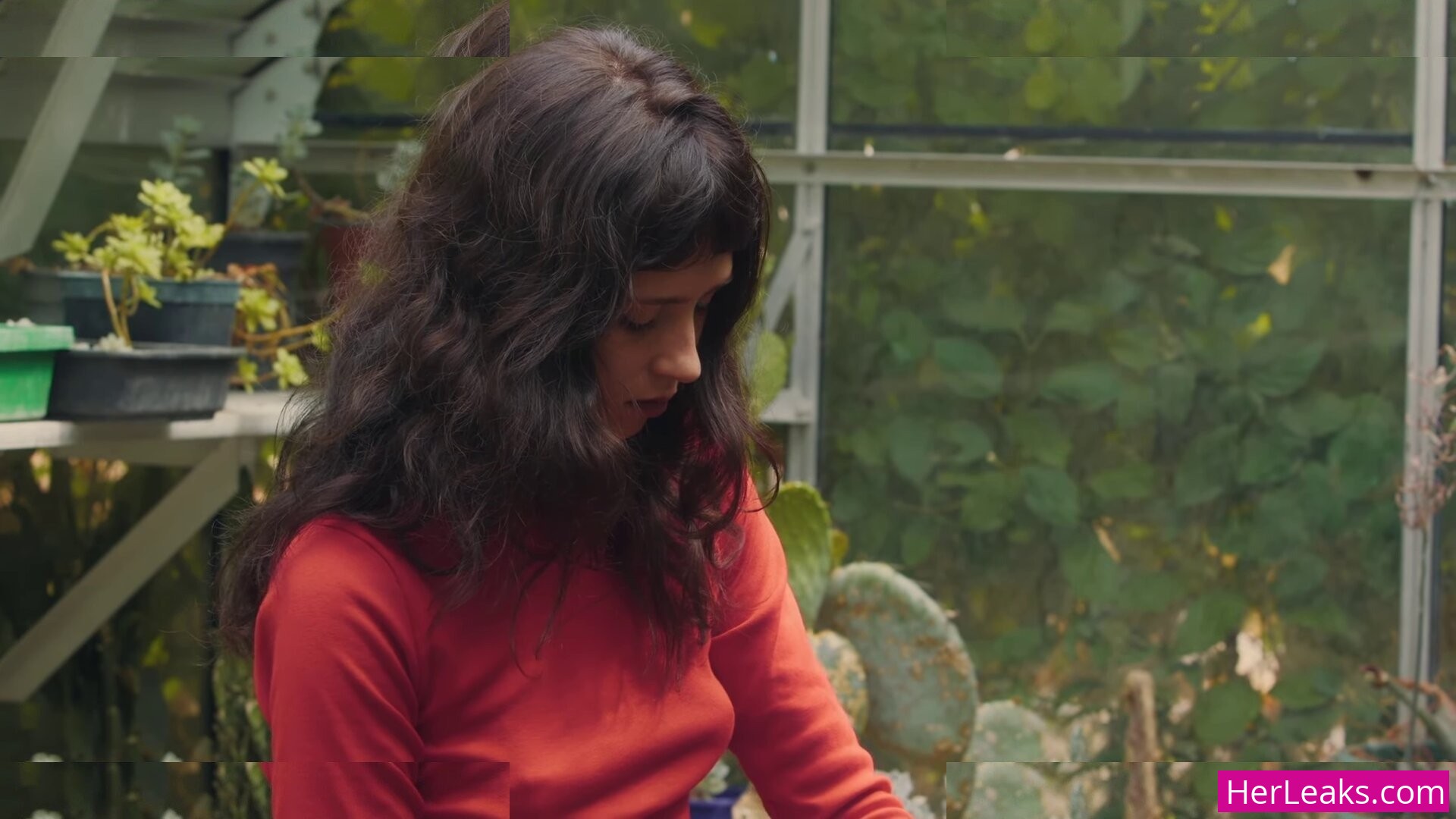 Clairo - Image 159