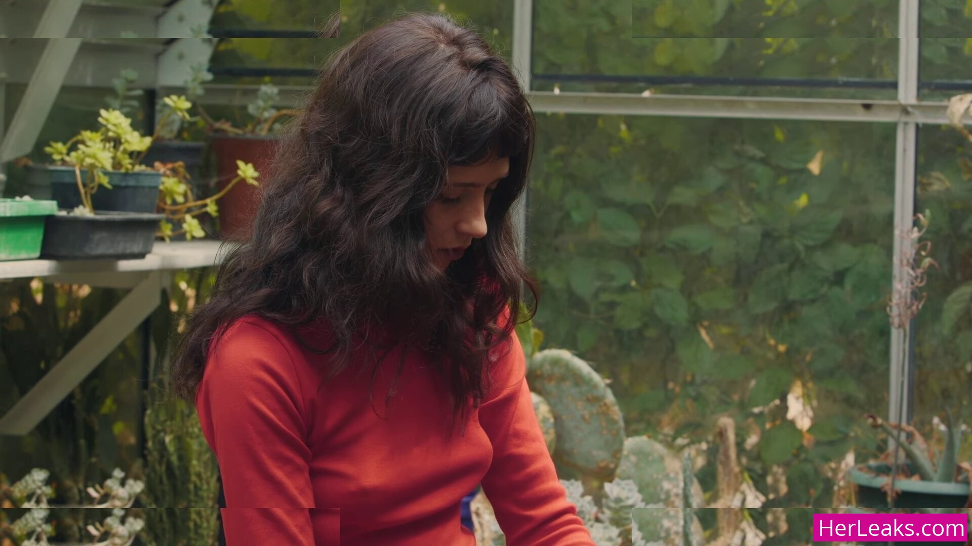 Clairo - Image 158