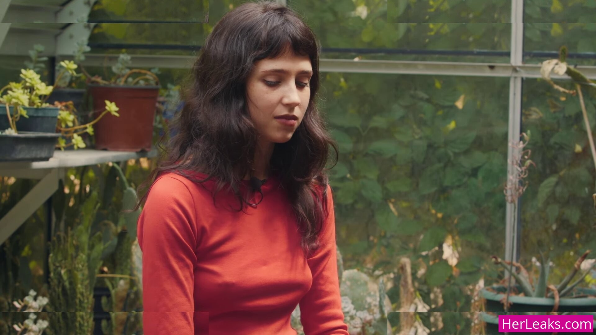 Clairo - Image 157
