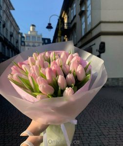 little_angel95 - Image 2