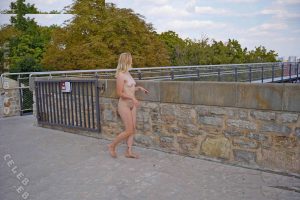 Nude In Public - Image 38