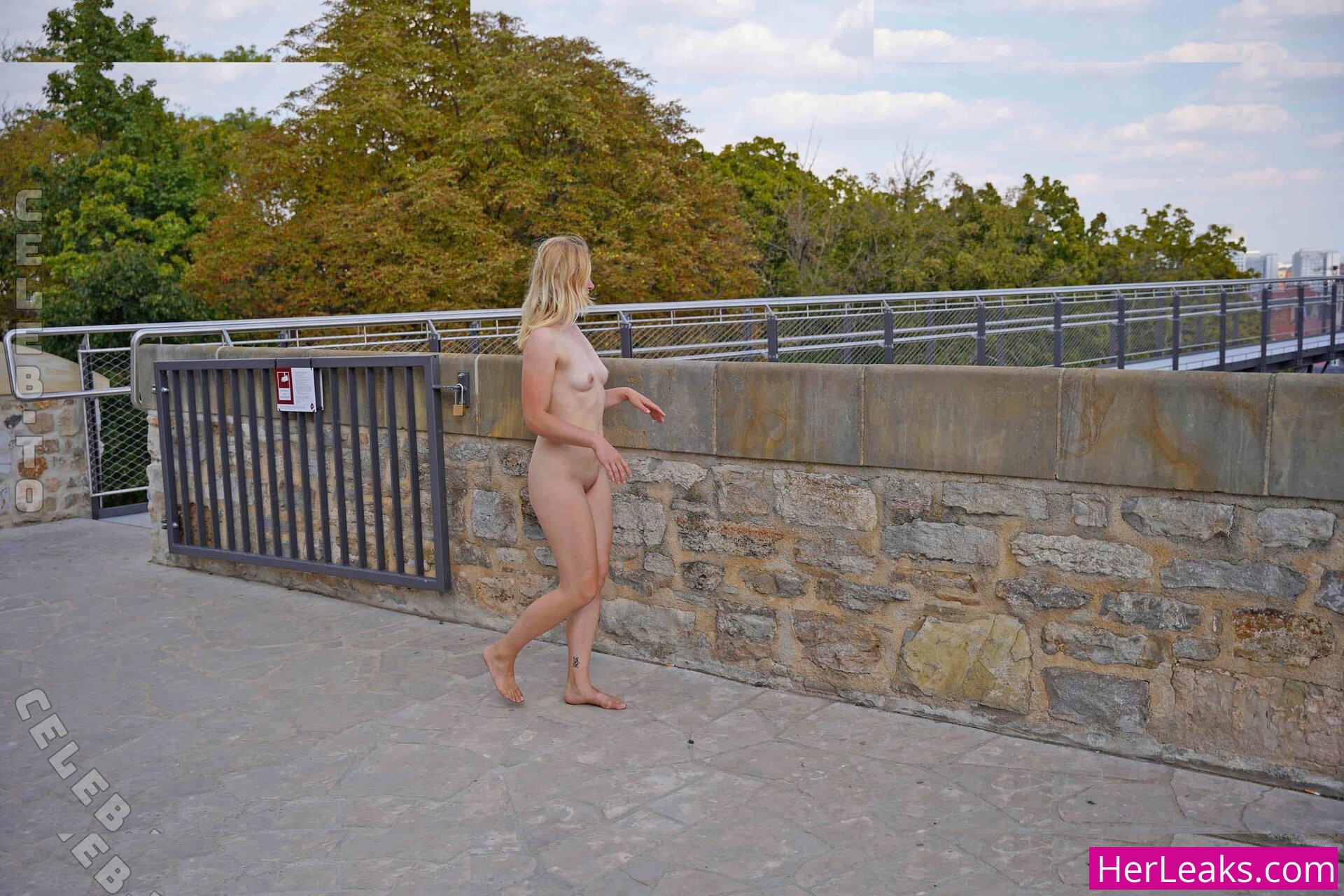 Nude In Public - Image 38