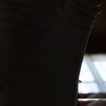 tastytaurustoes - Image 162