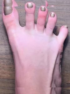 tastytaurustoes - Image 89